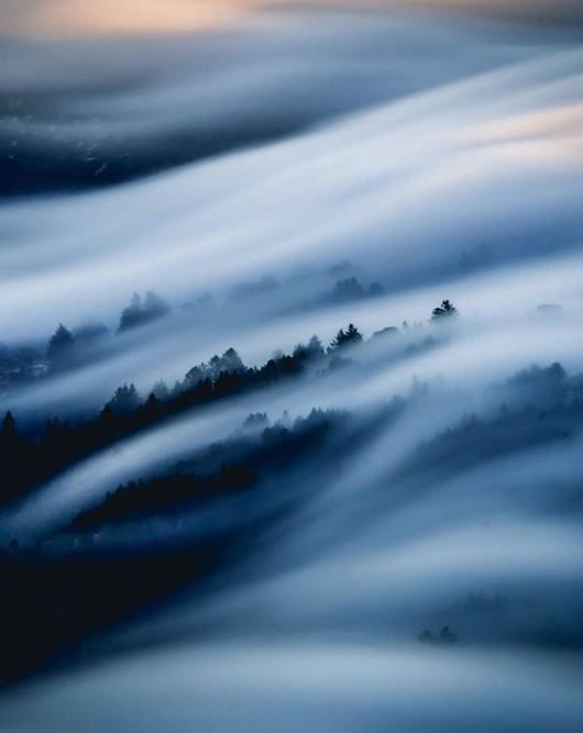 kelly needleman silky flow