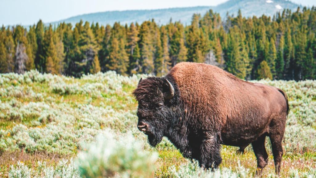 Tips for Visiting a National Park After Graduation